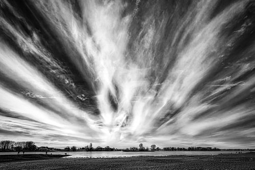 Winter landscape with tree and snow and cloud formation in black and white at the Rhine near Düsseld