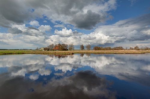 New nature in De Alde Feanen National Park