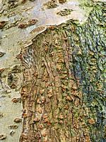 Kunst in der Natur 5