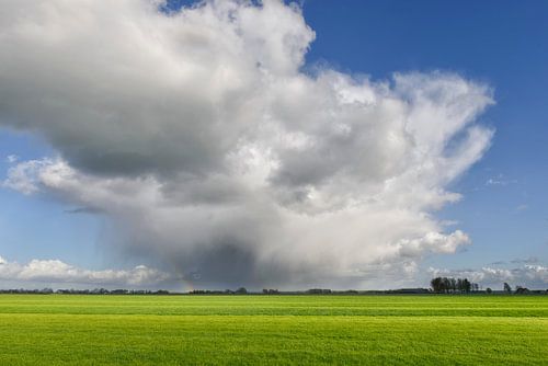 Wolkenlucht boven de weilanden