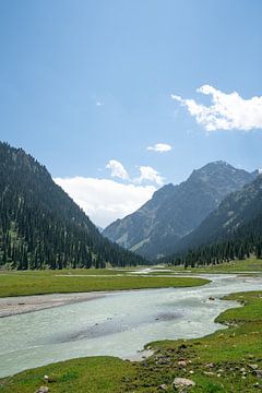Rivier door de bergen in Kirgizië