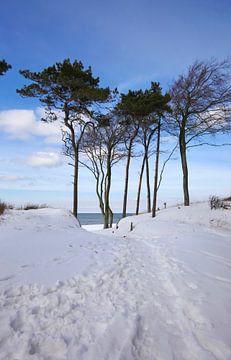Oostzee-West-strand van Thomas Jäger