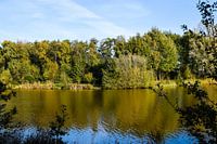 Herfst reflectie.