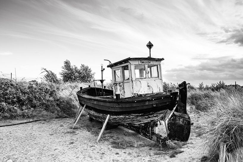 lost by Werner Reins