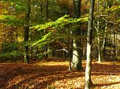 Natuur von Sanne Compeer Miniaturansicht