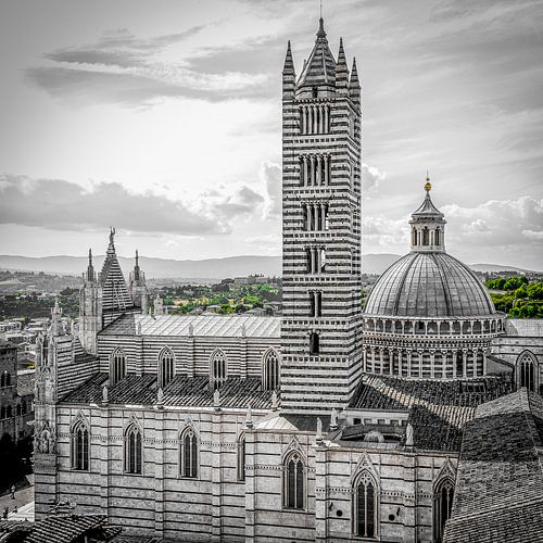 Cathédrale de Sienne, Toscane, Italie.