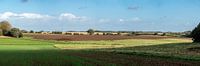 Agricultural fields around the city by Werner Lerooy thumbnail