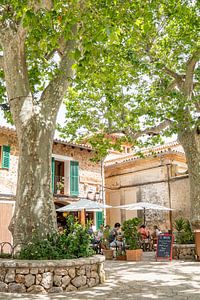 Gemütlicher Platz mit Terrasse auf Mallorca von Evelien Oerlemans