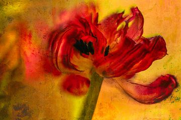 The Red Tulip by Monique van Velzen