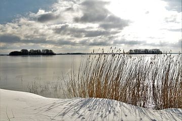 Winterstrand Veluwemeer van On The Road Foto