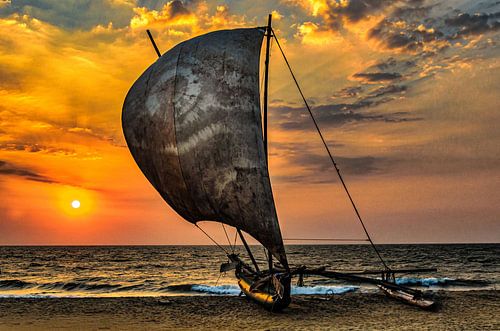 Traditional outrigger sailboat on the beach of Negombo Sri Lanka at sunset