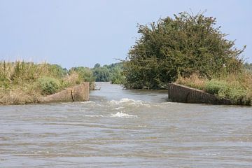 Coupure unter Wasser von Alexander de Vries