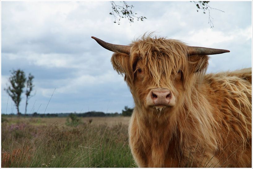 Do you see me by Hetwie van der Putten