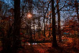 DE - Autumn mood in the castle park Laupheim von Photoart-Naegele