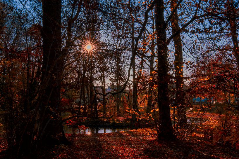 DE - Autumn mood in the castle park Laupheim van Photoart-Naegele