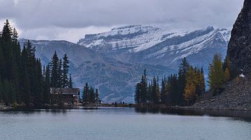 Theehuis bij Lake Agnes van Timon Schneider