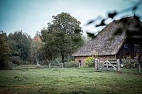 Farmgesicht