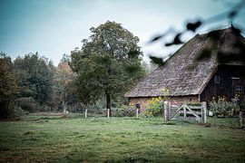 Farm-face by Danique Habets