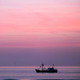 Zen sur Zilte C fotografie