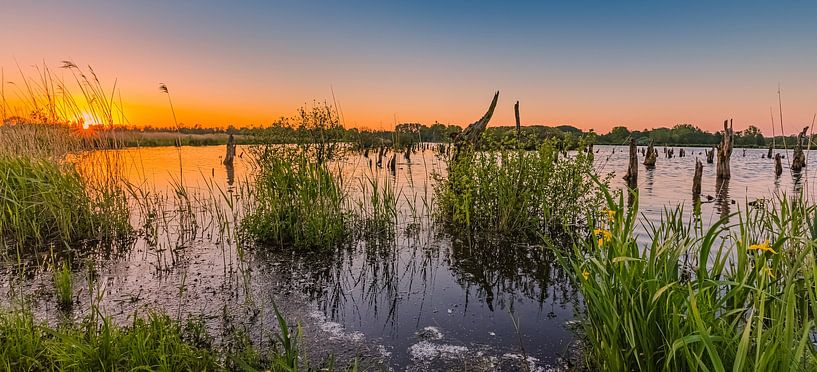 Sunset in national park De Alde Feanen by Henk Meijer Photography