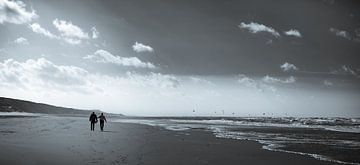 Winter walk in South Holland by Benjamien t'Kindt