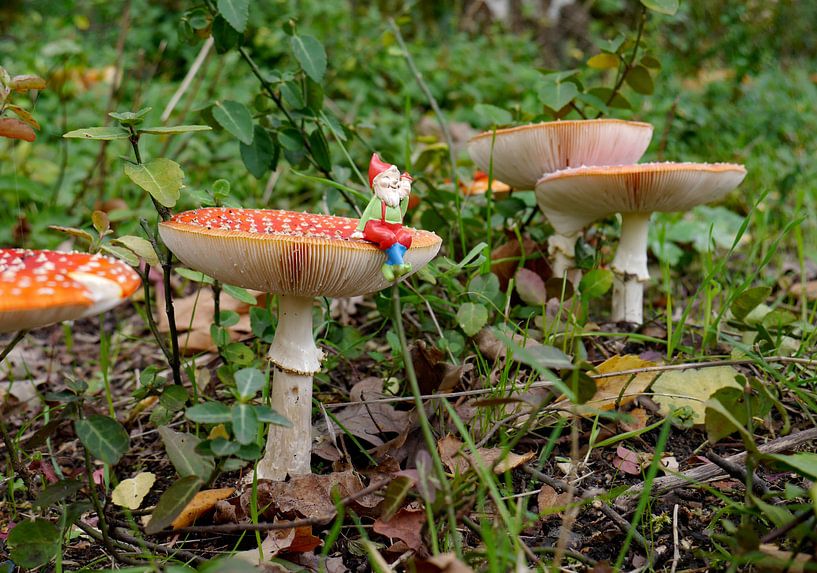 Fairy tale van Odette Kleeblatt