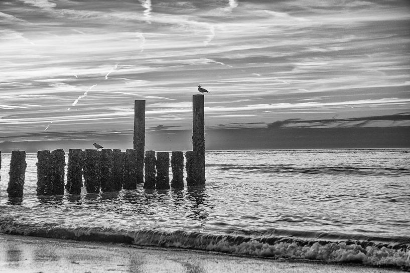 westkapelle stormbreker by anne droogsma