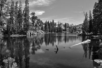 Camp Lake B&W