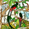 Vitrail représentant le Quetzal sur Rini Kools