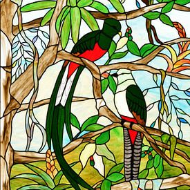 Vitrail représentant le Quetzal sur Rini Kools