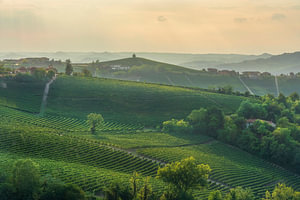 Sonnenuntergang über den Weinbergen der Langhe bei Neive und Barbaresco, Piemont