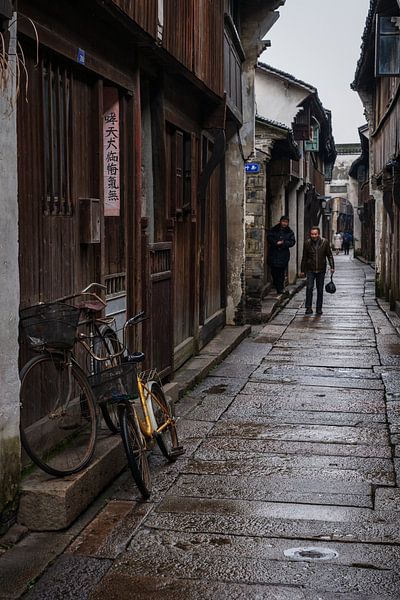 Altstadt von Wuzhen, Wuzhenzhen, China von Anges van der Logt