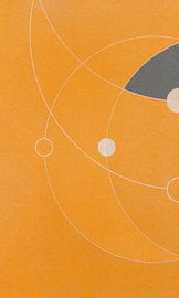 En orbite 1 sur Fernando Vieira