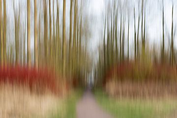 Dordtse Biesbosch by Karin Bijl