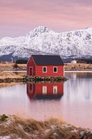 Lofoten, einsame Fischerhütte im Abendlicht 2/2