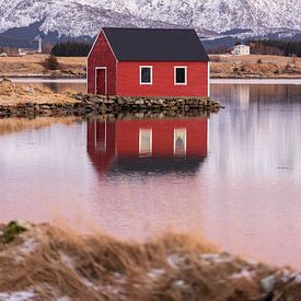 Lofoten, einsame Fischerhütte im Abendlicht 2/2 von Harald Marchhart