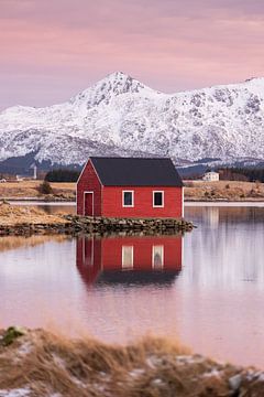 Lofoten, einsame Fischerhütte im Abendlicht 2/2