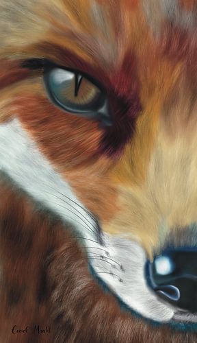 Wild | Fuchs