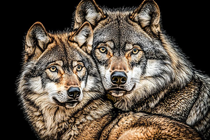 Deux loups dans l'obscurité par Art & Soul Creations