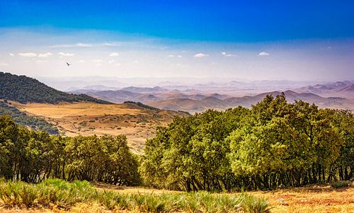 Panorama van het Rifgebergte. Marokko