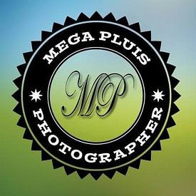 Tanja Albers Profile picture