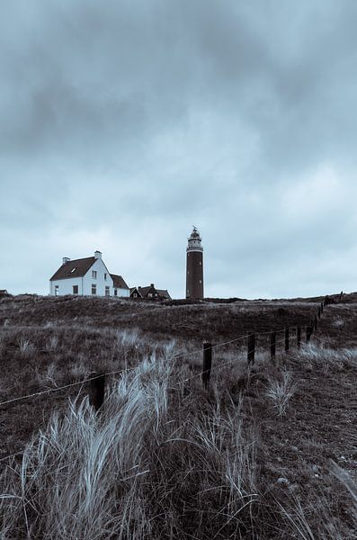 Texel 17 par Deshamer