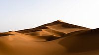 Gouden golven van de Sahara van mirrorlessphotographer thumbnail