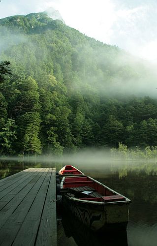Early morning mist Japan 2