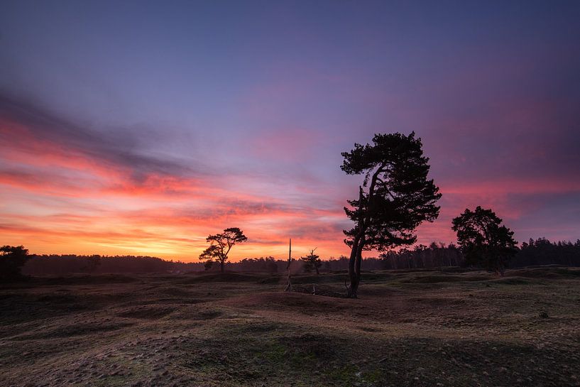 Sunrise Heidestein Driebergen Zeist by Peter Haastrecht, van