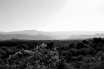 Reliëf bergen uitzicht bij God's Window, Zuid Afrika