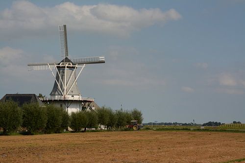 Windmill the Wetsinger