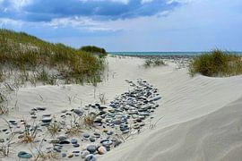 Steinpfad durch die hügelige Sandlandschaft von Theodor Decker