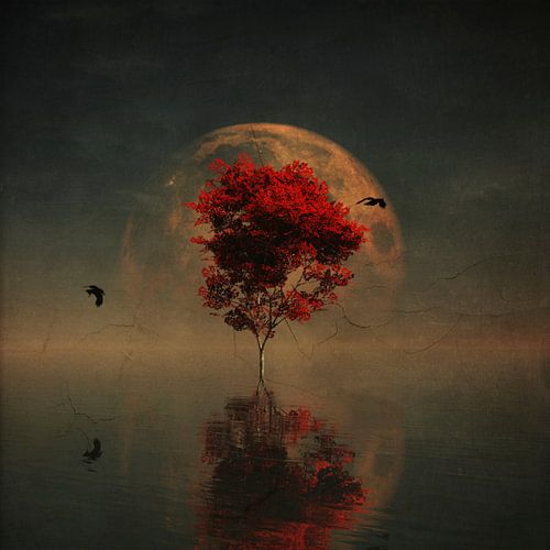 Dream landscape – Dream landscape with red tree and full moon