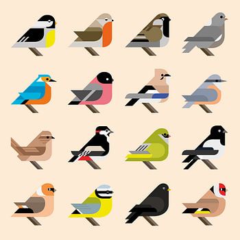 Oiseaux graphiques - 16 oiseaux de jardin hollandais en style (édition jaune)